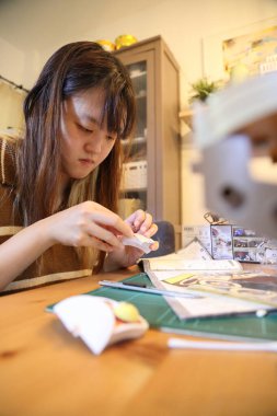 Doğu Asyalı kadın oturma odasında plastik bir oyuncak monte ediyor..