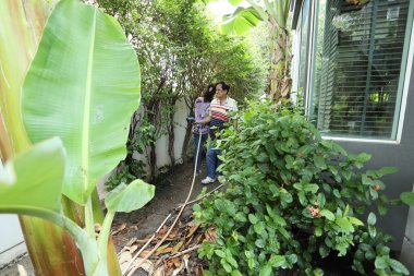 Doğu Asyalı yaşlı çift evin etrafındaki bahçedeki çiçekleri suluyor..