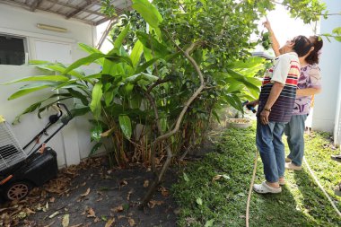 Doğu Asyalı yaşlı çift evin etrafındaki bahçedeki çiçekleri suluyor..
