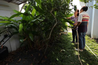 Doğu Asyalı yaşlı çift evin etrafındaki bahçedeki çiçekleri suluyor..