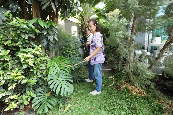 Doğu Asyalı yaşlı çift evin etrafındaki bahçedeki çiçekleri suluyor..