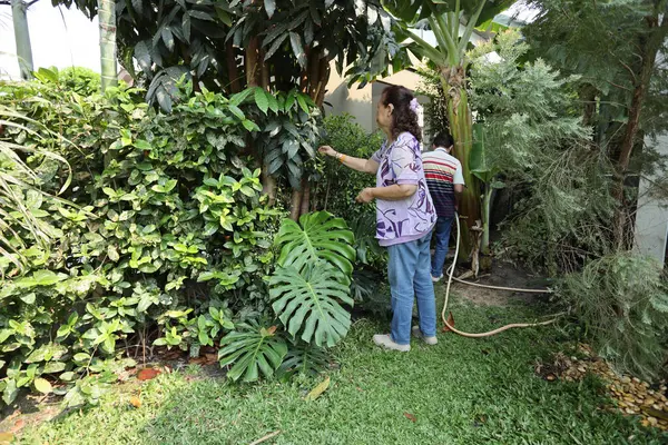 Doğu Asyalı yaşlı çift evin etrafındaki bahçedeki çiçekleri suluyor..
