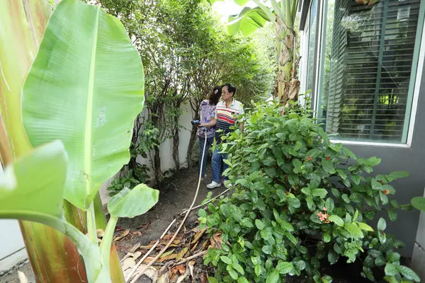 Doğu Asyalı yaşlı çift evin etrafındaki bahçedeki çiçekleri suluyor..