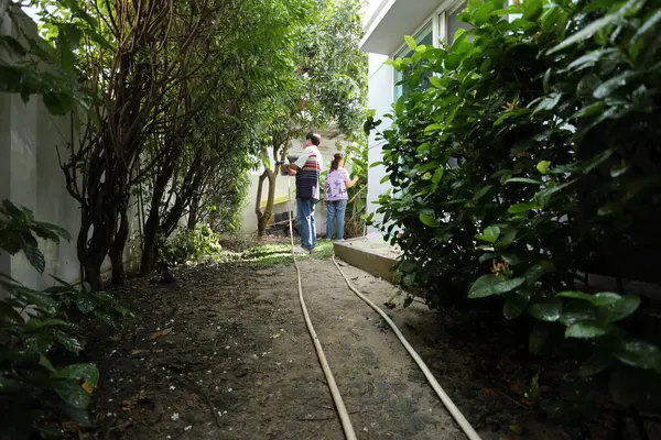 Doğu Asyalı yaşlı çift evin etrafındaki bahçedeki çiçekleri suluyor..
