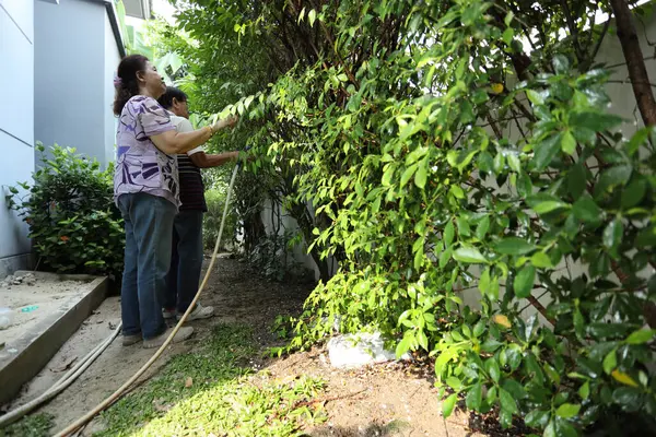 Doğu Asyalı yaşlı çift evin etrafındaki bahçedeki çiçekleri suluyor..