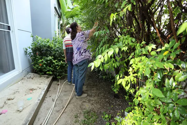 Doğu Asyalı yaşlı çift evin etrafındaki bahçedeki çiçekleri suluyor..