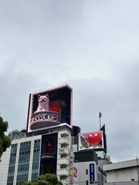 Tokyo, Japonya - 24 Mayıs 2025: Ünlü 3D köpek Tokyo 'daki Cross Shibuya Vision reklam panosunda sergilenmektedir.