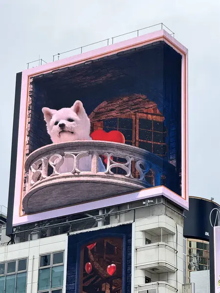 Tokyo, Japonya - 24 Mayıs 2025: Ünlü 3D köpek Tokyo 'daki Cross Shibuya Vision reklam panosunda sergilenmektedir.