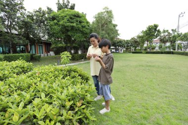 Güneydoğu Asya 'lı bekar bir anne çocuğuyla parkta vakit geçirir ve bitki, böcek ve doğal çevre gibi doğa temelli öğrenme faaliyetleriyle ilgilenir..