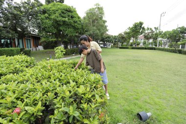 Güneydoğu Asya 'lı bekar bir anne çocuğuyla parkta vakit geçirir ve bitki, böcek ve doğal çevre gibi doğa temelli öğrenme faaliyetleriyle ilgilenir..
