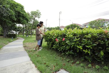 Güneydoğu Asya 'lı bekar bir anne çocuğuyla parkta vakit geçirir ve bitki, böcek ve doğal çevre gibi doğa temelli öğrenme faaliyetleriyle ilgilenir..