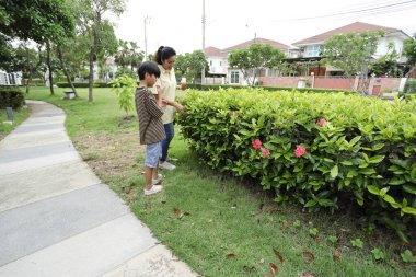 Güneydoğu Asya 'lı bekar bir anne çocuğuyla parkta vakit geçirir ve bitki, böcek ve doğal çevre gibi doğa temelli öğrenme faaliyetleriyle ilgilenir..
