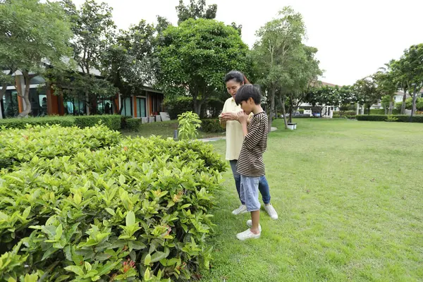 Güneydoğu Asya 'lı bekar bir anne çocuğuyla parkta vakit geçirir ve bitki, böcek ve doğal çevre gibi doğa temelli öğrenme faaliyetleriyle ilgilenir..