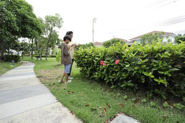 Güneydoğu Asya 'lı bekar bir anne çocuğuyla parkta vakit geçirir ve bitki, böcek ve doğal çevre gibi doğa temelli öğrenme faaliyetleriyle ilgilenir..