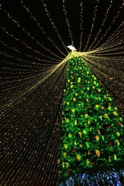 Şehrin Noel ağacının tatil ışıkları Central City Meydanı, Kyiv, Ukrayna 'da. Parlak tatil süslemeleri. Gece, akşam aydınlanması. Yeni yıl arkaplanı, dışarıda Noel kutlaması.