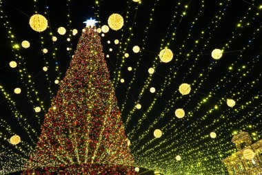 Şehrin Noel ağacının tatil ışıkları Central City Meydanı, Kyiv, Ukrayna 'da. Parlak tatil süslemeleri. Gece, akşam aydınlanması. Yeni yıl arkaplanı, dışarıda Noel kutlaması.