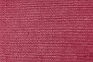 Texture background of velours magenta fabric. Upholstery velveteen texture fabric, corduroy furniture textile material, design interior, decor. Ridge fabric texture close up, backdrop, wallpaper.