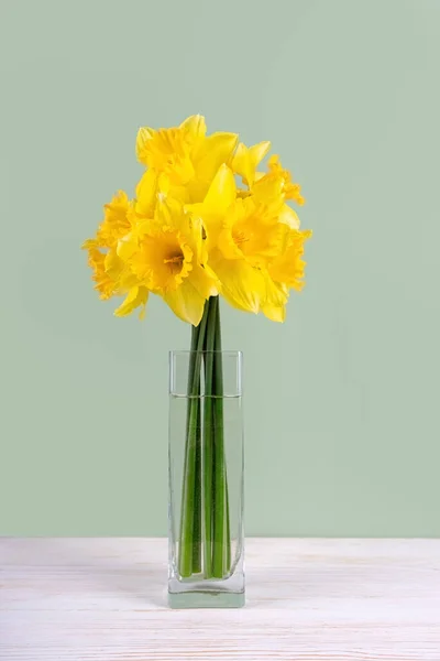 stock image Bouquet of yellow bright daffodils flowers, Easter bells in vase on green background. Blooming spring flowers.