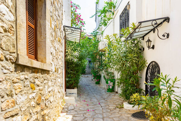 Narrow street in old european town in summer sunny day. Beautiful scenic old ancient white houses, cafe and shops with green plants. Popular tourist vacation destination, mediterranean architecture