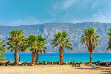 Gök mavisi deniz ve dağların arka planındaki tropik kumlu sahilde palmiye ağaçları. Yaz manzarası, deniz manzarası, turizm, tatil.