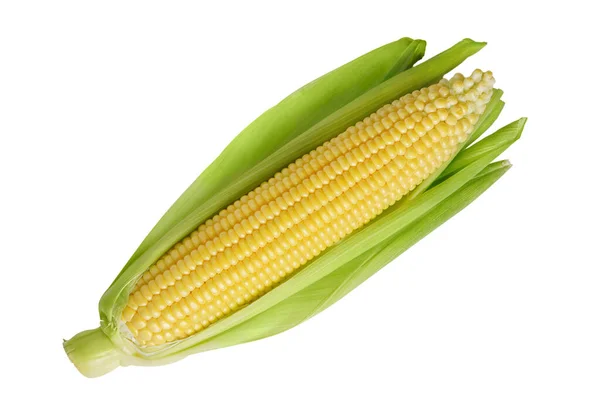 Fresh Yellow Ear Corn Green Leaves Isolated White Background Food — Stock Photo, Image