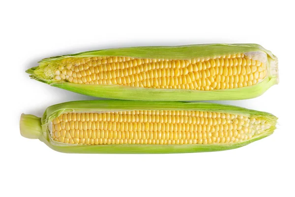 Два Свіжих Жовтих Вуха Кукурудзи Зеленим Листям Ізольовані Білому Тлі — стокове фото