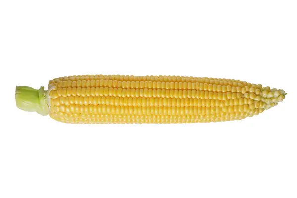Свіже Жовте Вухо Кукурудзи Ізольовано Білому Тлі Харчовий Інгредієнт Елемент — стокове фото