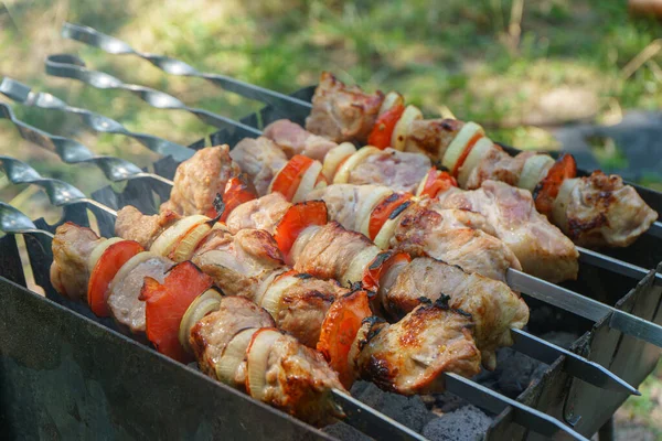 Grillowane Kawałki Mięsa Szaszłykach Szaszłyk Warzywami Proces Gotowania Ogniu Kozieradce — Zdjęcie stockowe