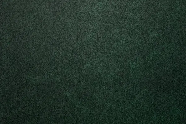 Genuine Natural Artificial Green Leather Texture Background Luxury Material Header — Foto de Stock