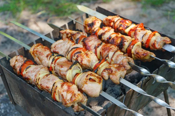 串に肉を焼き 野菜とケバブを焼き 火で調理する ブラジル バーベキューで調理されたローストマリネ肉 夏のピクニック — ストック写真