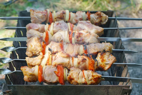 Grilled Pieces Meat Skewers Shish Kebab Vegetables Cooking Process Fire — Stock Photo, Image