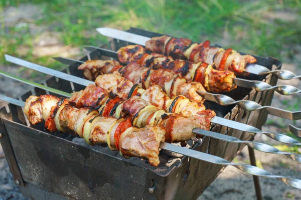 Grilled Pieces Meat Skewers Shish Kebab Vegetables Cooking Process Fire — Stock Photo, Image