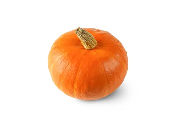 Frischer Reifer Orangefarbener Kürbis Isoliert Auf Weißem Hintergrund Halloween Konzept — Stockfoto