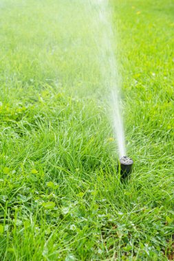 Güneşli bir günde yeşil çimenleri sulayan otomatik akıllı çimen fıskiyesi. Otomatik sistemli, ayarlanabilir başlı fıskiye, bahçe sulama sistemi.