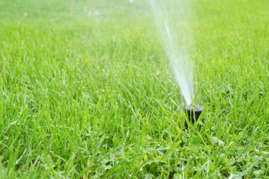 Güneşli bir günde yeşil çimenleri sulayan otomatik akıllı çimen fıskiyesi. Otomatik sistemli, ayarlanabilir başlı fıskiye, bahçe sulama sistemi.