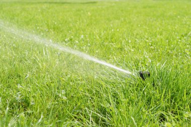 Güneşli bir günde yeşil çimenleri sulayan otomatik akıllı çimen fıskiyesi. Otomatik sistemli, ayarlanabilir başlı fıskiye, bahçe sulama sistemi.