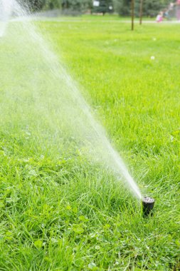Güneşli bir günde yeşil çimenleri sulayan otomatik akıllı çimen fıskiyesi. Otomatik sistemli, ayarlanabilir başlı fıskiye, bahçe sulama sistemi.