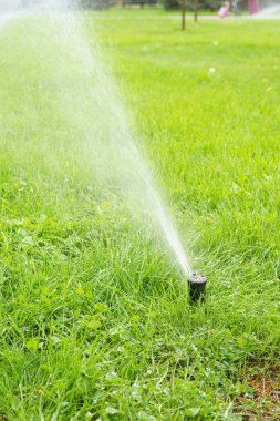 Güneşli bir günde yeşil çimenleri sulayan otomatik akıllı çimen fıskiyesi. Otomatik sistemli, ayarlanabilir başlı fıskiye, bahçe sulama sistemi.