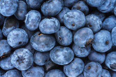 Taze çiğ organik yaban mersini arka planı yakın plan. Yaban mersinli makarnanın dokusu. Yemek arkaplanı, fon, duvar kağıdı, yaz hasadı..