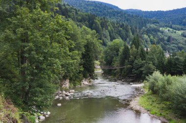 Dağ nehri ve halat asma köprüsü tepeler arasında çam ağaçları kayalık sahilli çam ağaçları, hızlı su. Karpatlar ve Ukrayna 'nın doğal yaz manzarası