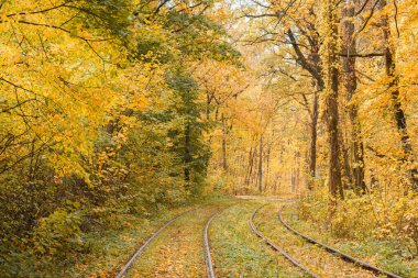 Demiryolları, sarı sonbahar yaprak döken ormanlarda demiryolları. Tramvay, çevre dostu kentsel çevre ve elektrik taşımacılığı olan park alanı.