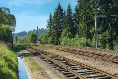 Dağlarda yeşil kozalaklı ormanlarla kaplı demiryolu rayları. Bulutlu mavi gökyüzü, çam ve ladin ağaçlı orman tepeleri, kırsal sakin manzara. Karpatların Doğası, Ukrayna.