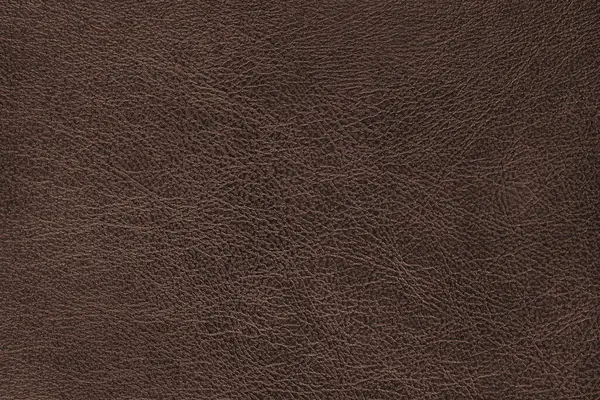 Gerçek deri yüzey yapısı ve hafif kumlu doku makrosu, yakın çekim. Pürüzsüz, kahverengi deri deri, döşeme malzemesi, lüks arka plan, arka plan, duvar kağıdı.