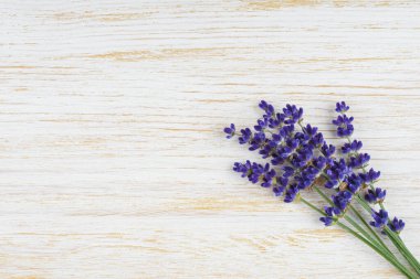 Beyaz ahşap arkaplanda çiçek açan lavanta çiçekleri. Fotokopi alanı, üst manzara, yakın çekim. Çiçek arkaplan, model, şablon