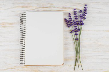 Küçük bir demet taze lavanta, boş sarmal kağıt deftere, beyaz ahşap arka planda not defterine uzanır. Model, kopyalama alanı ile şablon, üst görünüm, düz uzanma