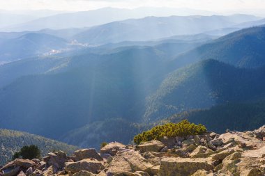 Karpatlar 'ın görkemli manzarası sonsuz yeşil dağ sıralarının üzerinde parlayan güneş ışınlarıyla kozalaklı orman ve kayalık yamaçlarla kaplı..
