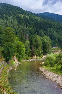 Karpat Dağları 'ndaki yoğun yeşil kozalaklı ormanlardan akan sakin nehrin manzarası bulutlu bir günde, doğa manzarası. Seyahat, macera, yürüyüş..
