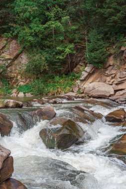 Hızlı akan bir dağ şelalesinin dinamik görüntüsü, yosunlu kayaların üzerine düşen hızlı bir nehir. Doğal suyun enerjisi ve güzelliği el değmemiş orman ortamlarında. Soyut doğal arkaplan