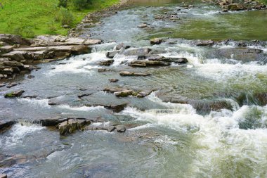 Hızlı akan bir dağ şelalesinin dinamik görüntüsü, yosunlu kayaların üzerine düşen hızlı bir nehir. Doğal suyun enerjisi ve güzelliği el değmemiş orman ortamlarında. Soyut doğal arkaplan