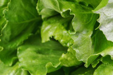 Detaylı yeşil ramen salatası, taze soslu marul yaprakları. Canlı ve sağlıklı sebzeler salatalar, yemek pişirme ve vejetaryen temaları için idealdir. Yemek arkaplanı, duvar kağıdı, fon